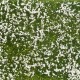 Ground Cover Foliage Meadow White Noch 07256 Ground Cover Foliage Meadow White Noch 07256