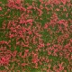 Ground Cover Foliage Meadow Red Noch 07257 Ground Cover Foliage Meadow Red Noch 07257