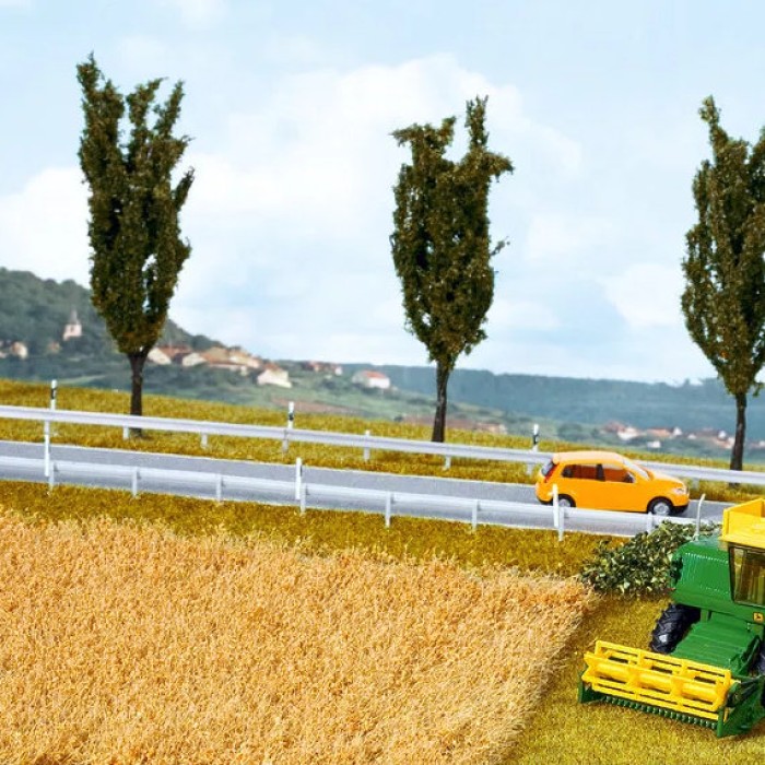 Corn Field Noch 07421
