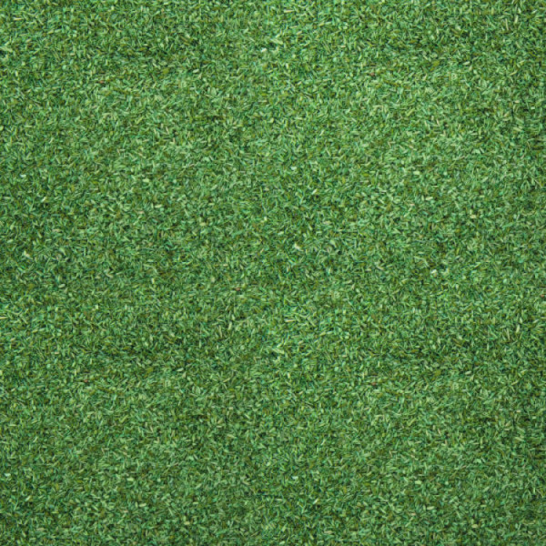 Mid Green Scatter Noch 08420