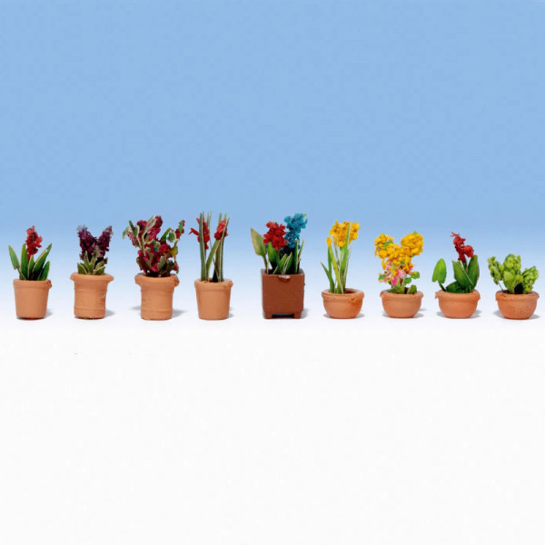 Pot plants OO
