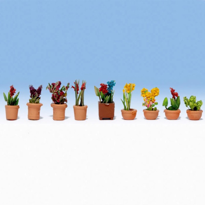 Pot plants OO