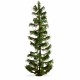 Spruce Tree 250mm tall Noch 20192 Master Tree Spruce Tree 250mm tall Noch 20192 Master Tree