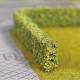 Model Hedge Light Green