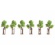 Saplings with Tree Props 40mm Tall Noch 21538 Saplings with Tree Props 40mm Tall Noch 21538