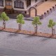 Saplings with Tree Props 40mm Tall Noch 21538 Saplings with Tree Props 40mm Tall Noch 21538