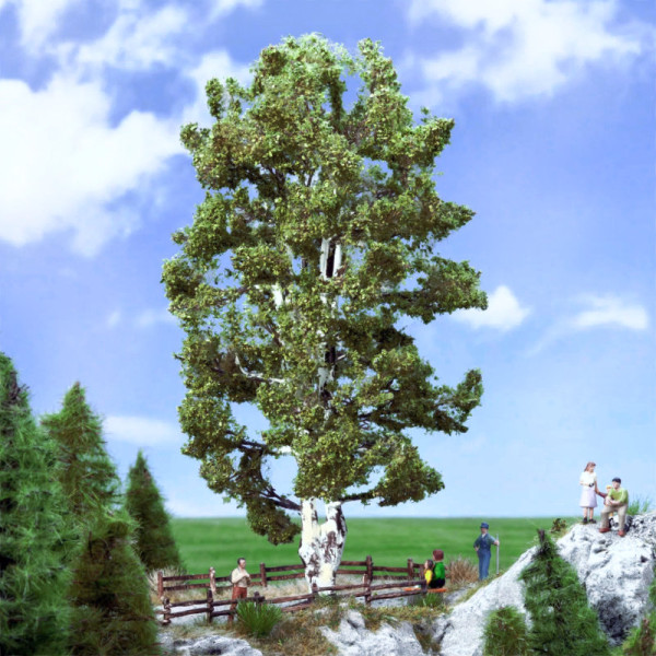 Birch Tree 170mm tall
