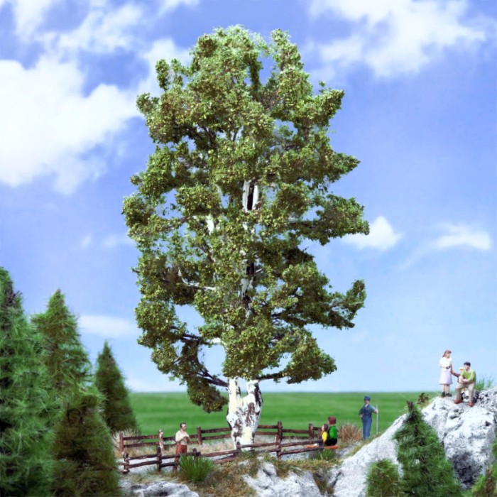 Birch Tree 170mm tall