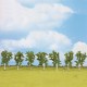 Birch Trees 105mm tall Birch Trees 105mm tall