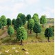 Deciduous Trees 50-90 mm tall Noch 26901 Deciduous Trees 50-90 mm tall Noch 26901