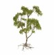 Abandoned Place Fountain Diorama Pack Plus Free Landscaping Material OO Noch 60760 Abandoned Place Fountain Diorama Pack Plus Free Landscaping Material OO Noch 60760