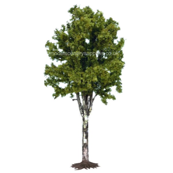 Large Birch Tree 350mm tall
