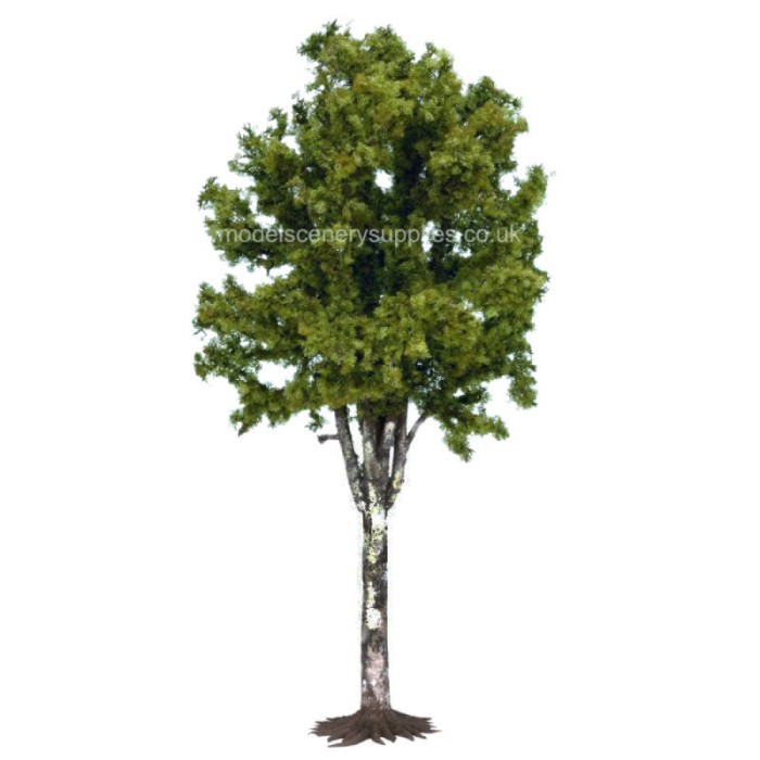 Large Birch Tree 350mm tall Large Birch Tree 350mm tall