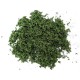 Dark Green Course Grass JAVIS PREMIER RANGE JCG3