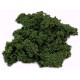 Javis JHF3 Hedge and Bush Foliage Dark Green