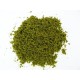 Light Green Course Grass  JAVIS PREMIER RANGE JCG1