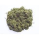 Static Grass Autumn Mix 2mm Javis JHG3 Static Grass Autumn Mix 2mm Javis JHG3