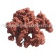 Lump Foliage Autumn Red Lump Foliage Autumn Red