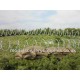 Barbed Wire  (coiled) JBARB