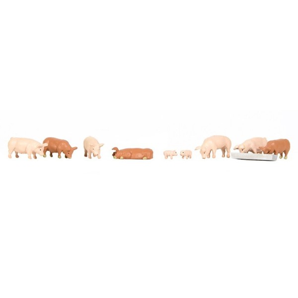 Pigs and Piglets OO