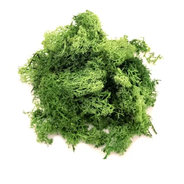 Lichen Green Blend 125g