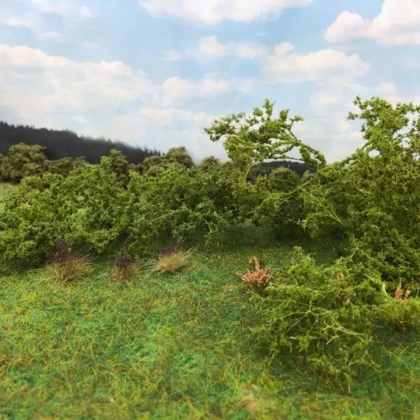 Weeds, Undergrowth, Bushes 