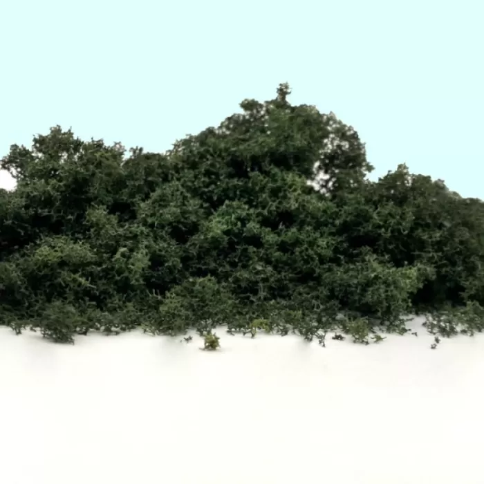 Fast Foliage Dark Green