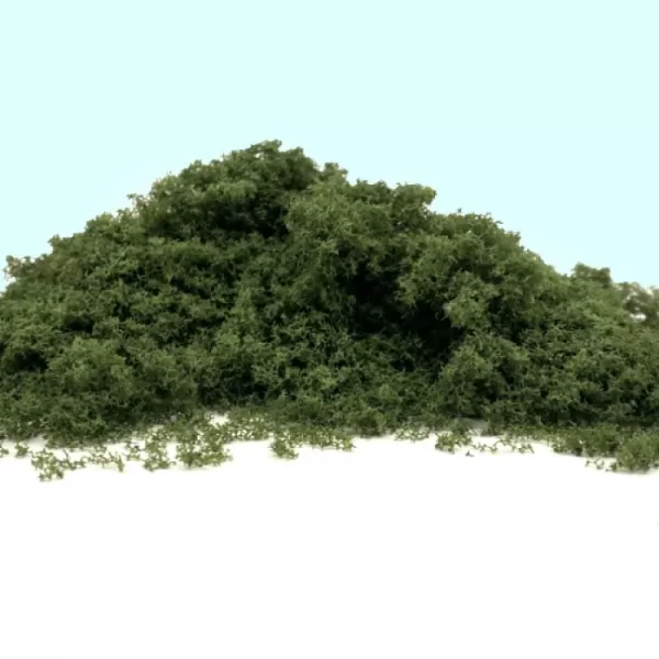 Fast Foliage Wild Green