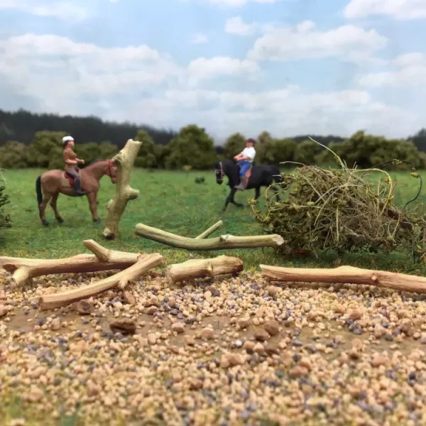 Dead Wood Dead Tree Fallen Wood