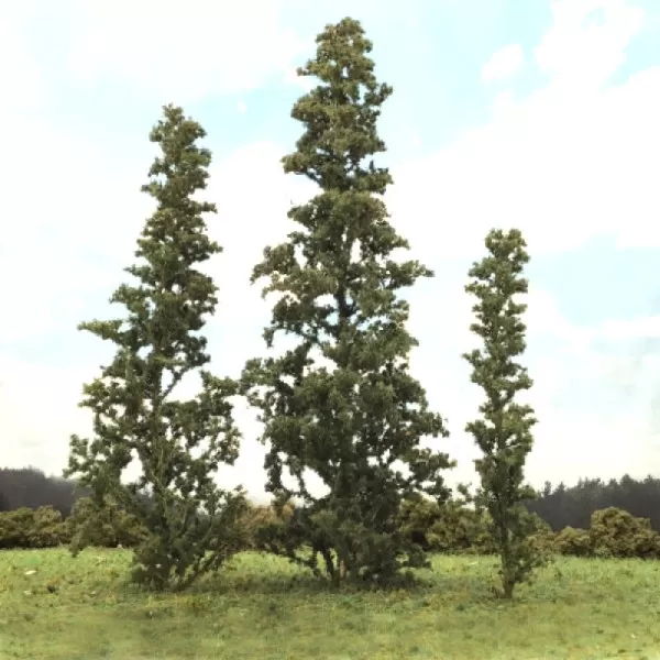 Seafoam Trees, Mixed Fir