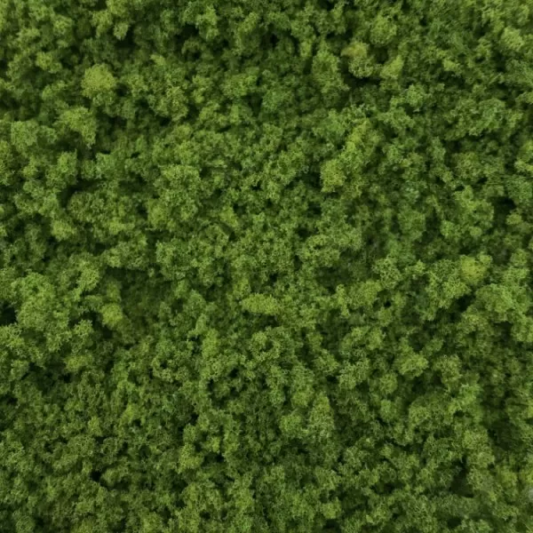 Coarse Turf and Foliage Cover Light Green  By Footpath Scenes