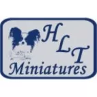 HLT Miniatures