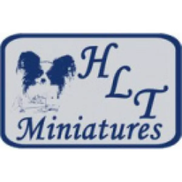 HLT Miniatures 