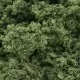 Woodland Scenics Foliage Clusters Light Green F57