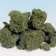 Woodland Scenics Foliage Clusters Light Green F57