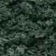 Woodland Scenics FC59 Foliage Clusters  Dark Green FC59