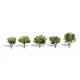Woodland Scenics Early Light Trees 25mm Tall