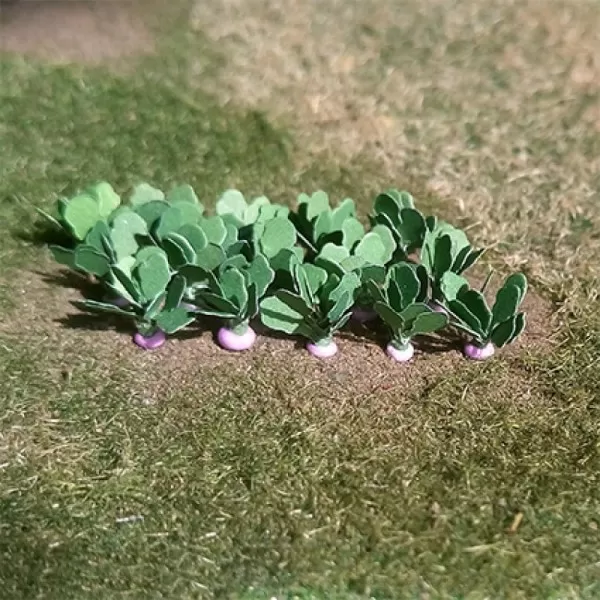 Turnips OO 1:76 scale