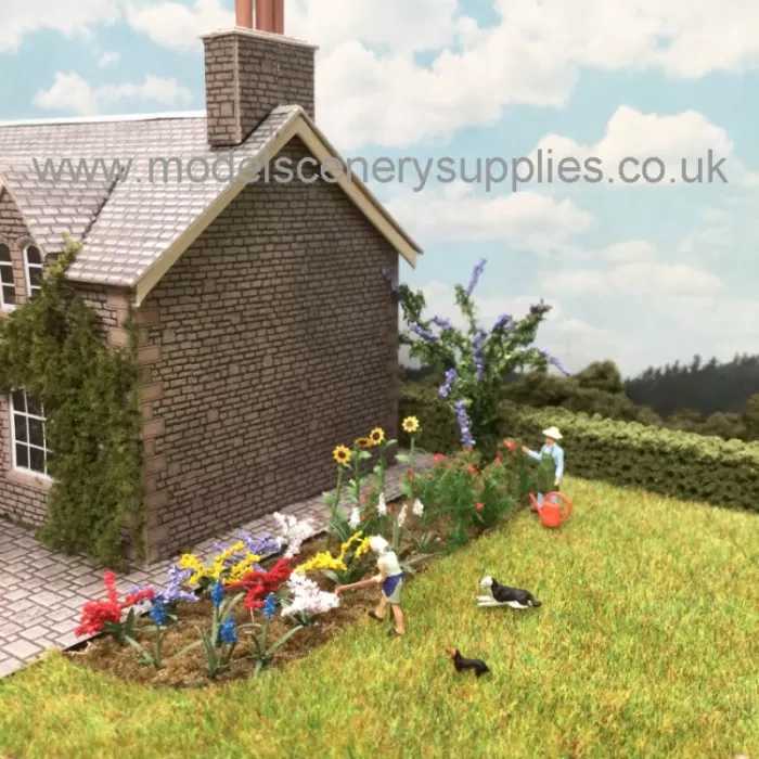 Bedding Plants Flower Garden, Tall Pack