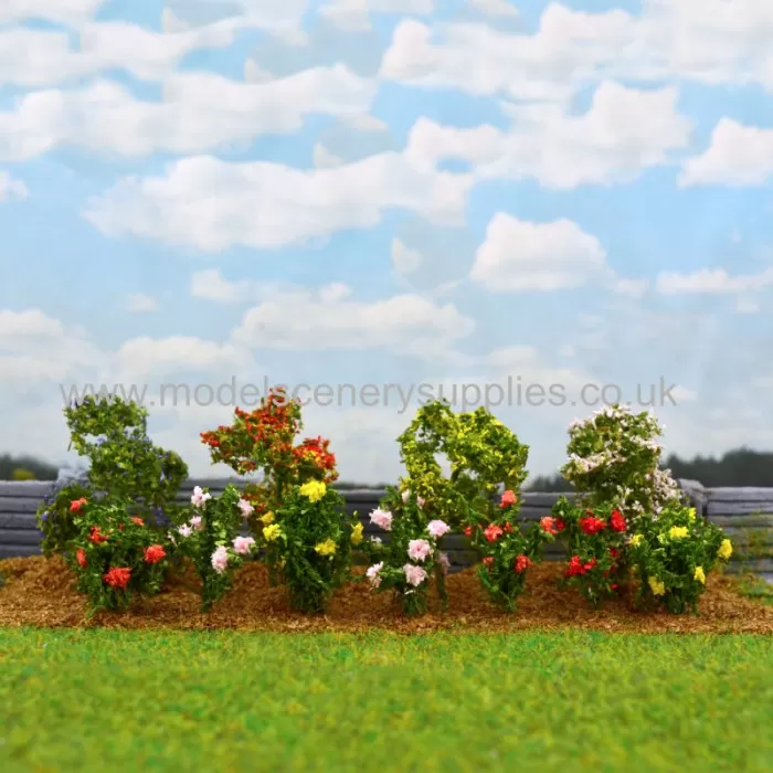 English Roses OO /TT