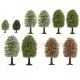 Deciduous Spring Trees 50-90 mm tall  Noch 26906