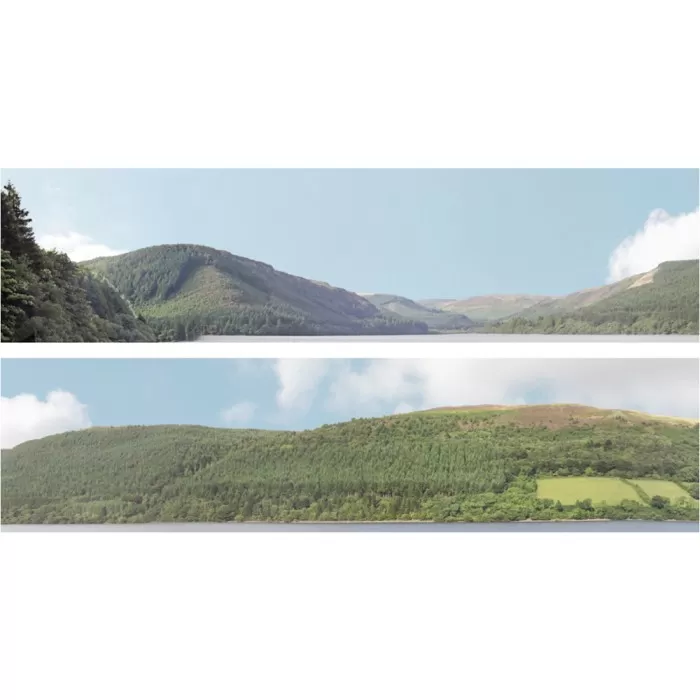 Backscene Forest Hills 201A OO 15Inch tall