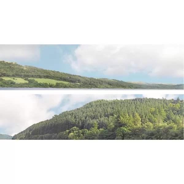 Backscene Forest Hills 201B OO 15inch