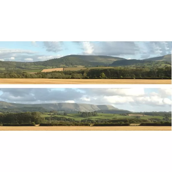 Backscene Harvest Hills  242 OO 15 inch tall