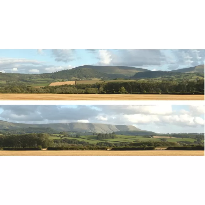 Backscene Harvest Hills  242 OO 15 inch tall