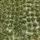 Static Grass Weed Tufts Early Autumn Green MiniNatur 725-23