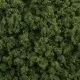 Medium Green Foliage Clumps G6462