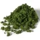 Medium Green Foliage Clumps G6462