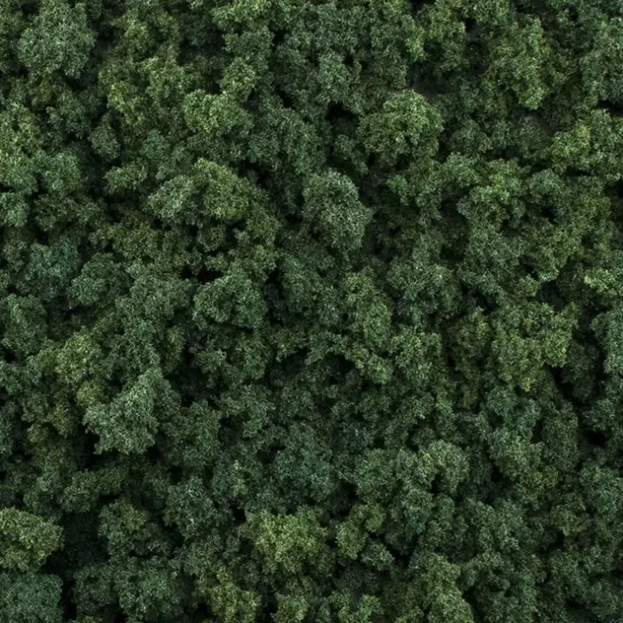 Dark Green Foliage Clumps G6463