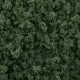 Dark Green Foliage Clumps G6463